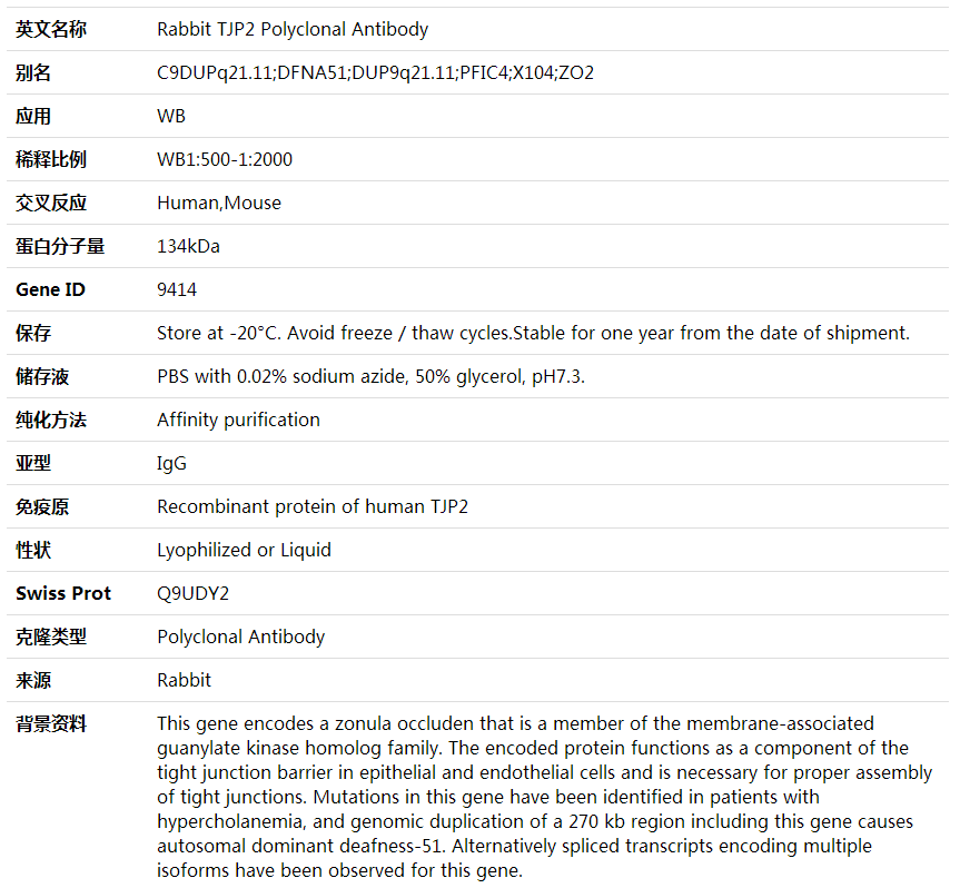 Anti-TJP2 Polyclonal Antibody,索莱宝,K001709P-30ul