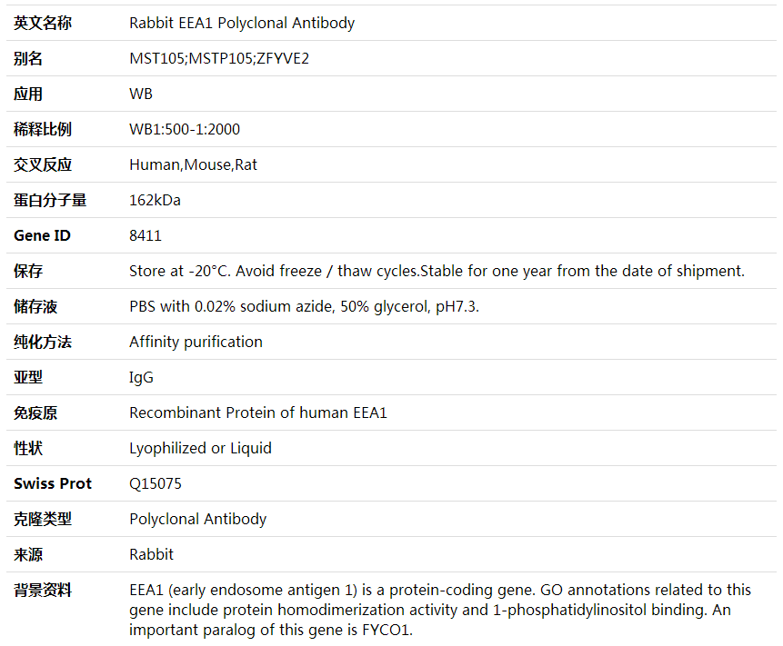 Anti-EEA1 Polyclonal Antibody,索莱宝,K001708P-50ul
