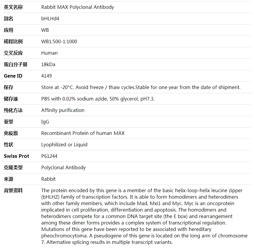 Anti-MAX Polyclonal Antibody,索莱宝,K001707P-50ul