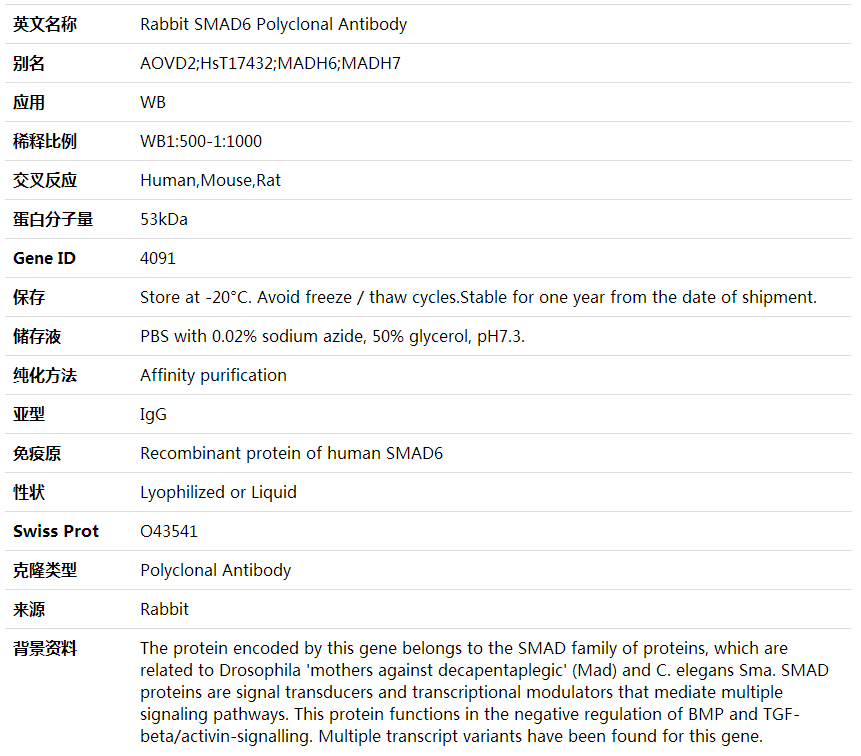 Anti-SMAD6 Polyclonal Antibody,索莱宝,K001706P-100ul