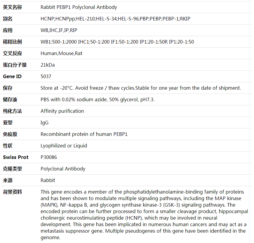 Anti-PEBP1 Polyclonal Antibody,索莱宝,K001705P-100ul