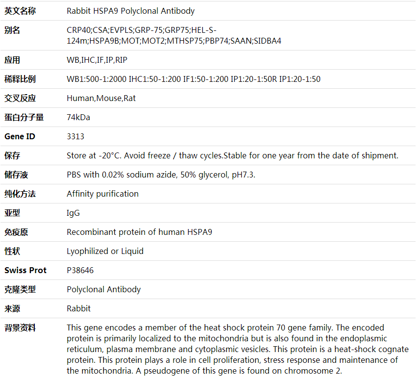 Anti-HSPA9 Polyclonal Antibody,索莱宝,K001702P-30ul