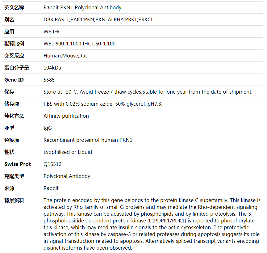 Anti-PKN1 Polyclonal Antibody,索莱宝,K001701P-100ul