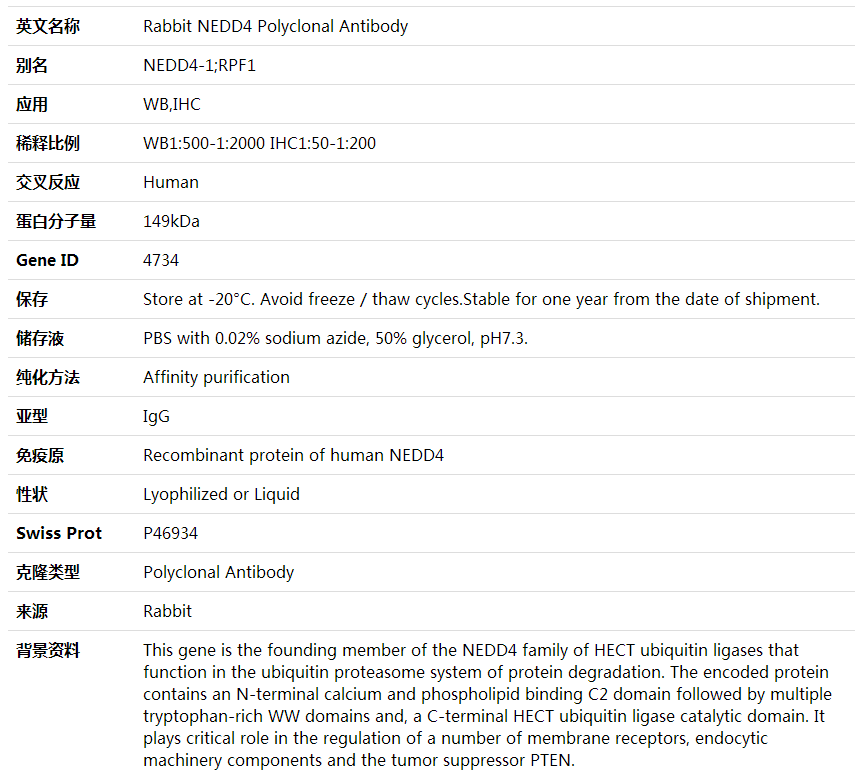 Anti-NEDD4 Polyclonal Antibody,索莱宝,K001700P-30ul