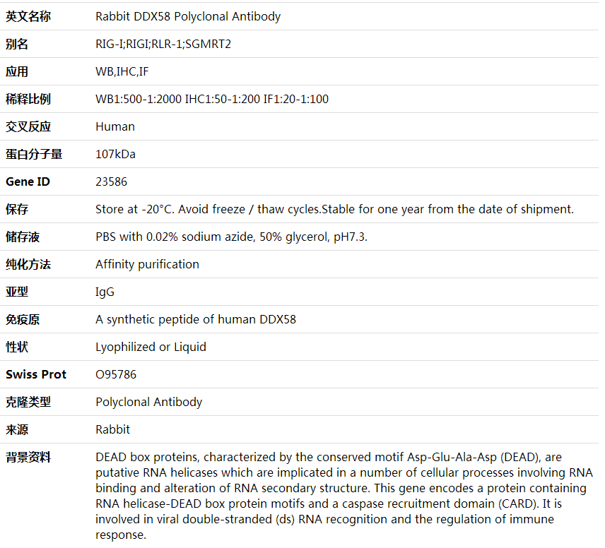 Anti-DDX58 Polyclonal Antibody,索莱宝,K001699P-30ul