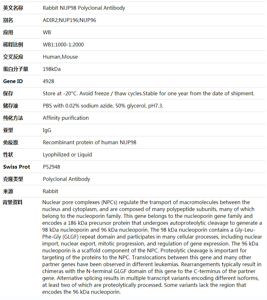 Anti-NUP98 Polyclonal Antibody,索莱宝,K001697P-100ul