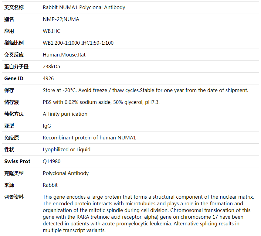 Anti-NUMA1 Polyclonal Antibody,索莱宝,K001696P-50ul