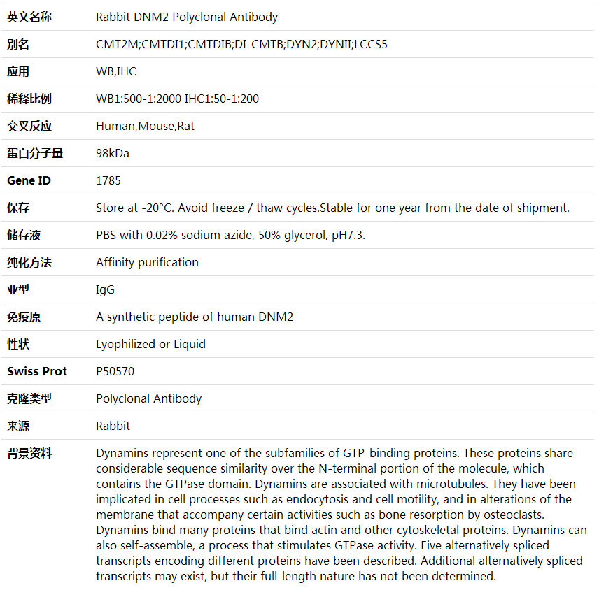 Anti-DNM2 Polyclonal Antibody,索莱宝,K001695P-30ul