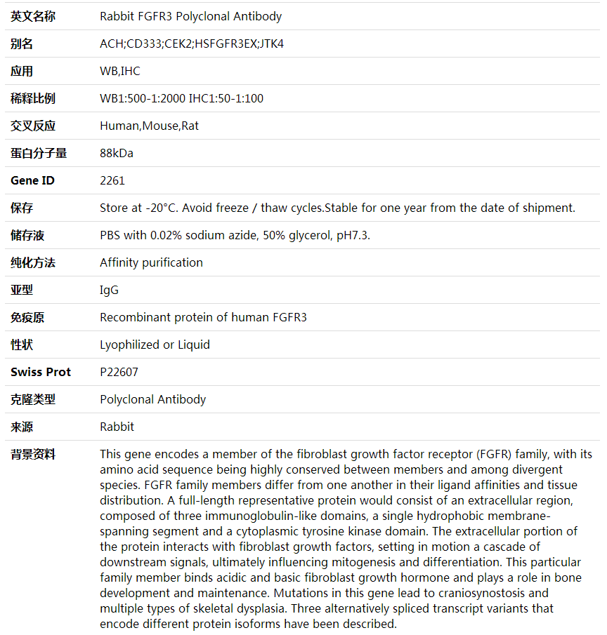 Anti-FGFR3 Polyclonal Antibody,索莱宝,K001684P-30ul