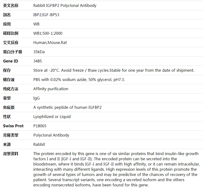 Anti-IGFBP2 Polyclonal Antibody,索莱宝,K001683P-100ul