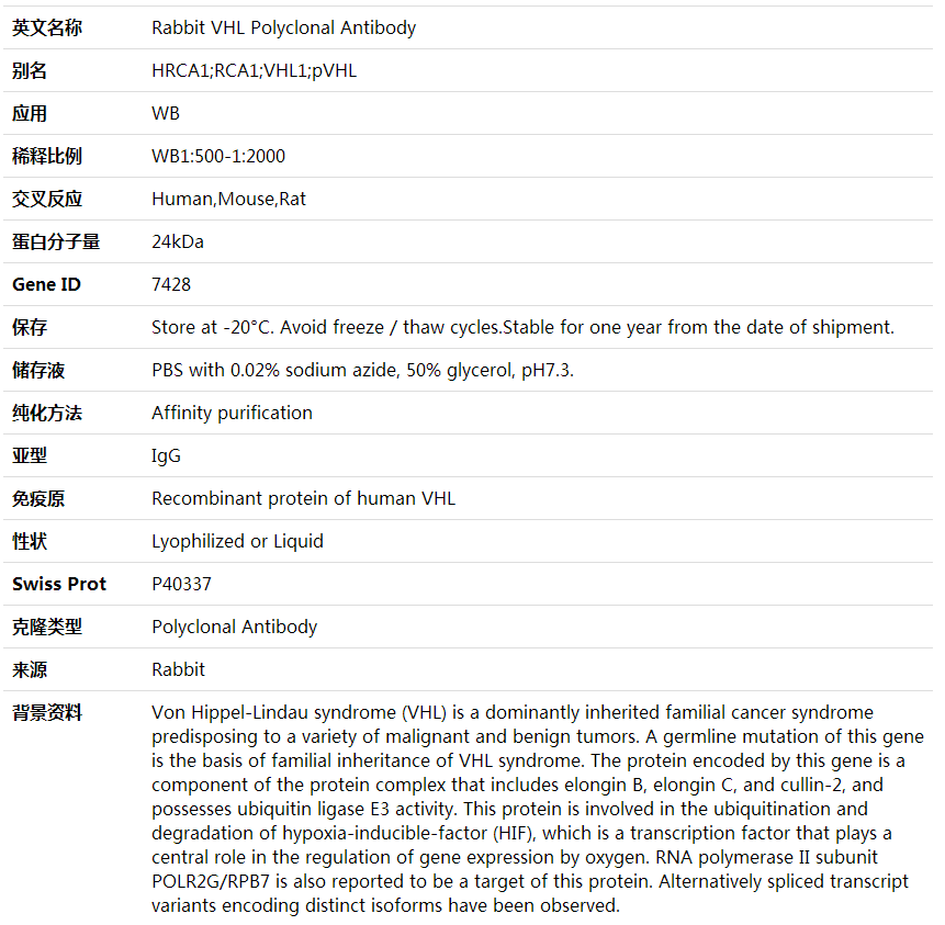 Anti-VHL Polyclonal Antibody,索莱宝,K001682P-100ul