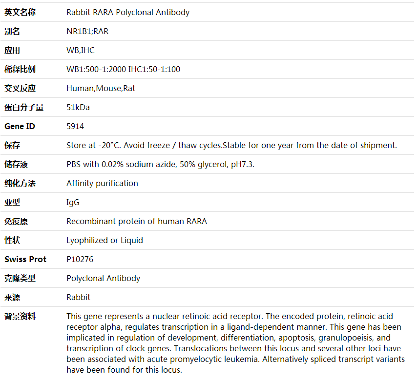 Anti-RARA Polyclonal Antibody,索莱宝,K001681P-100ul