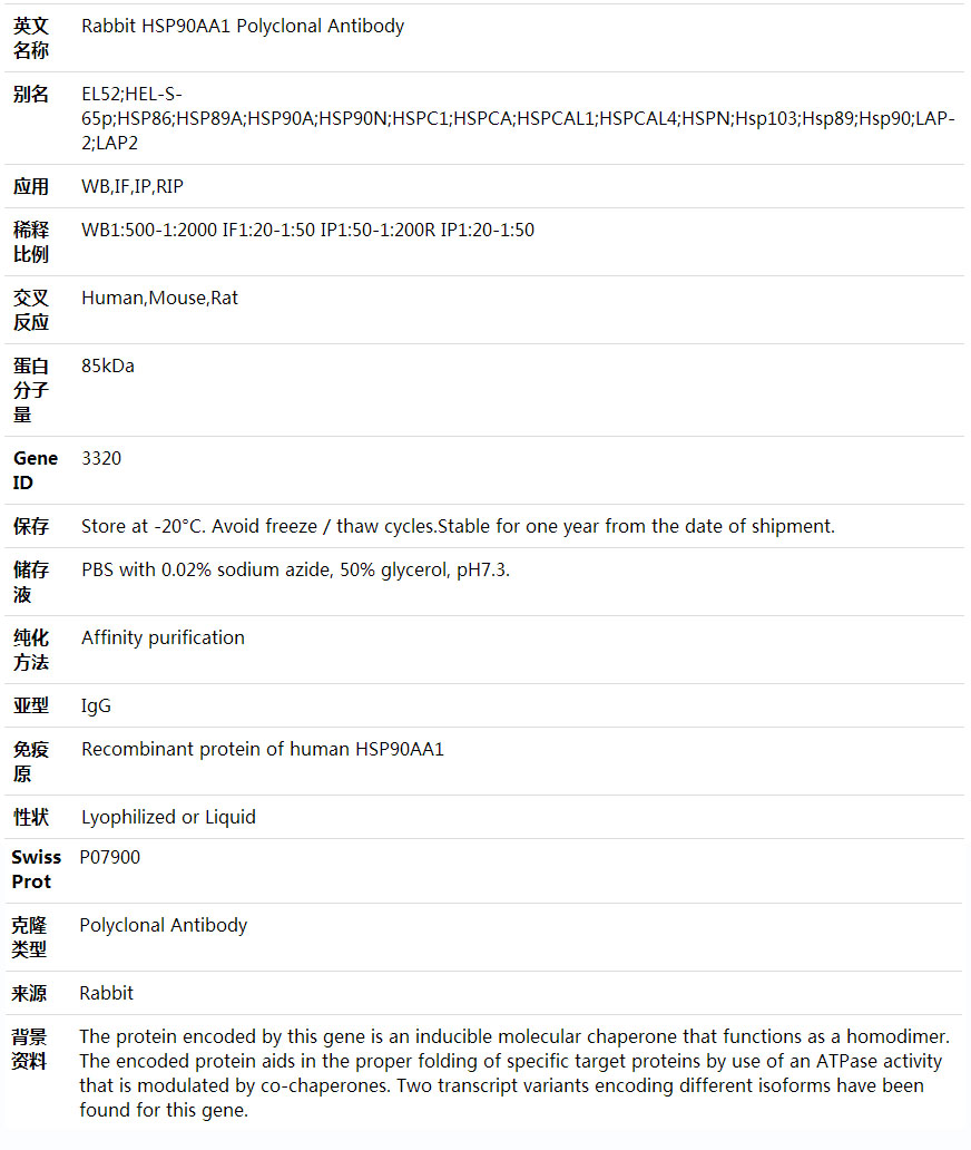 Anti-HSP90AA1 Polyclonal Antibody,索莱宝,K001680P-30ul