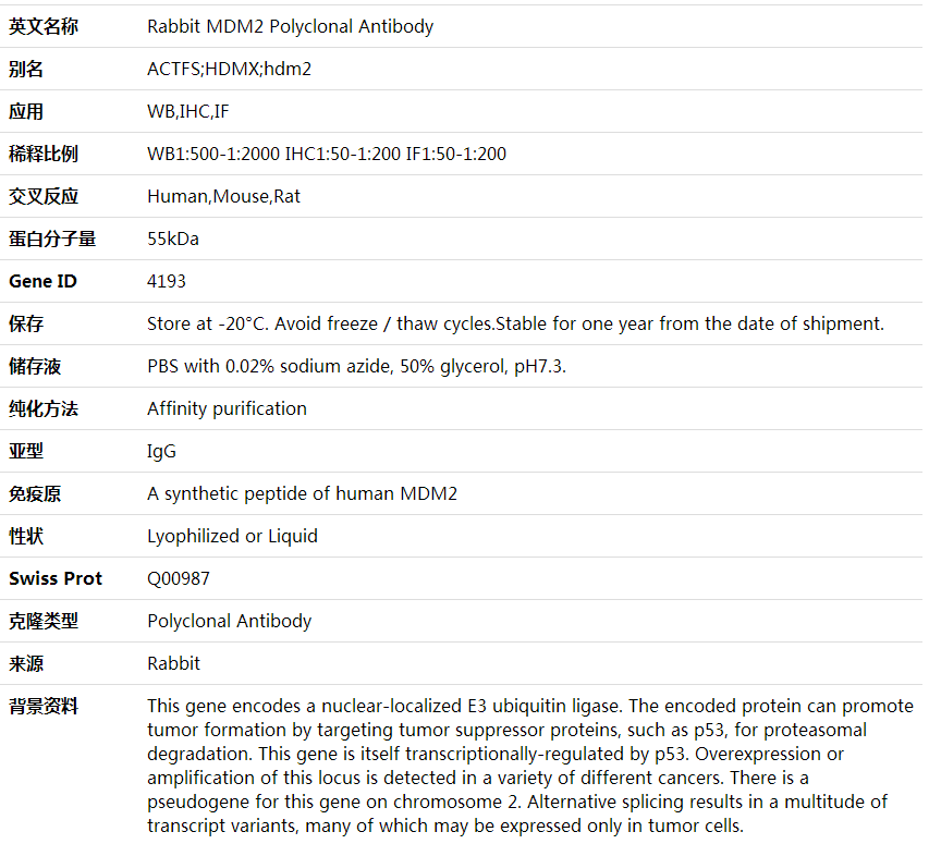 Anti-MDM2 Polyclonal Antibody,索莱宝,K001678P-30ul