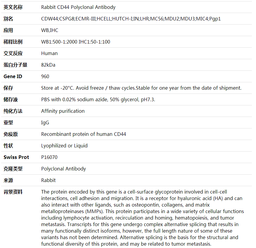Anti-CD44 Polyclonal Antibody,索莱宝,K001677P-50ul