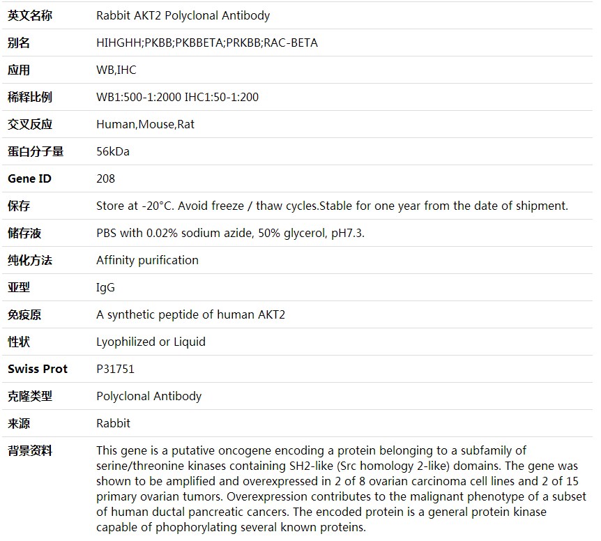 Anti-AKT2 Polyclonal Antibody,索莱宝,K001676P-30ul