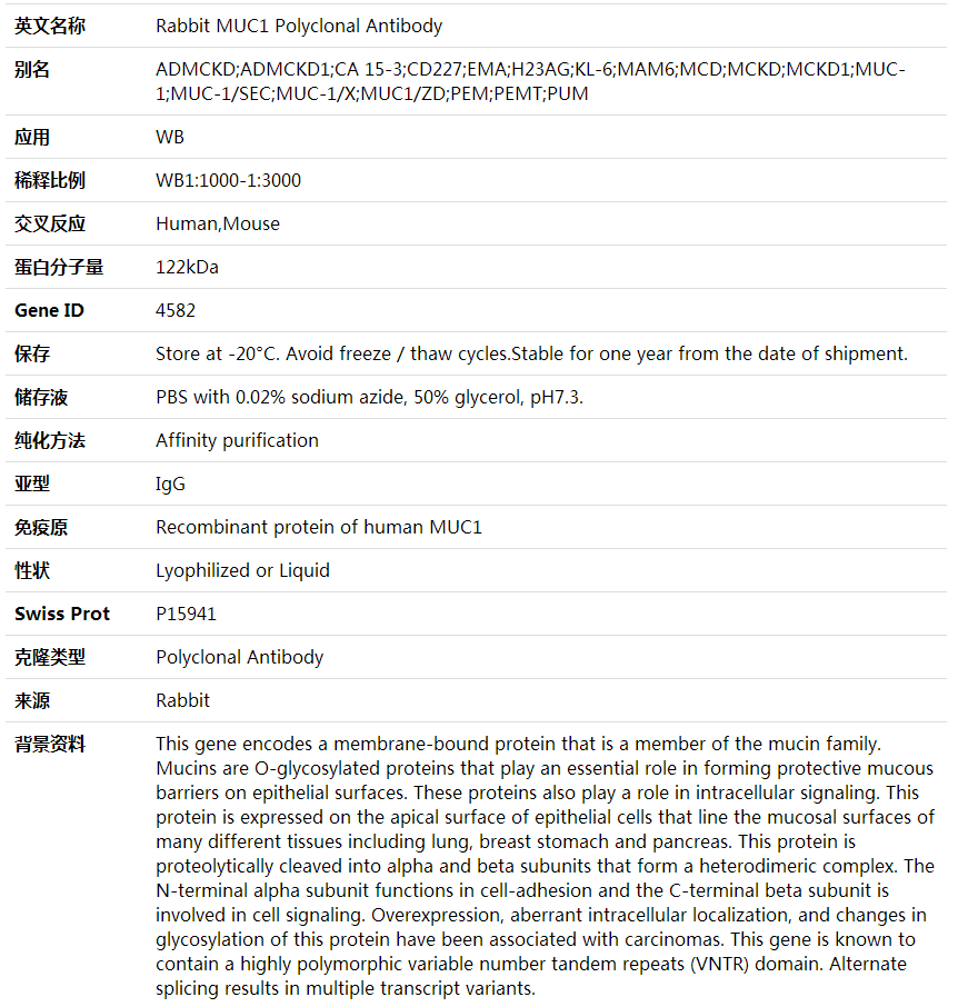 Anti-MUC1 Polyclonal Antibody,索莱宝,K001675P-100ul