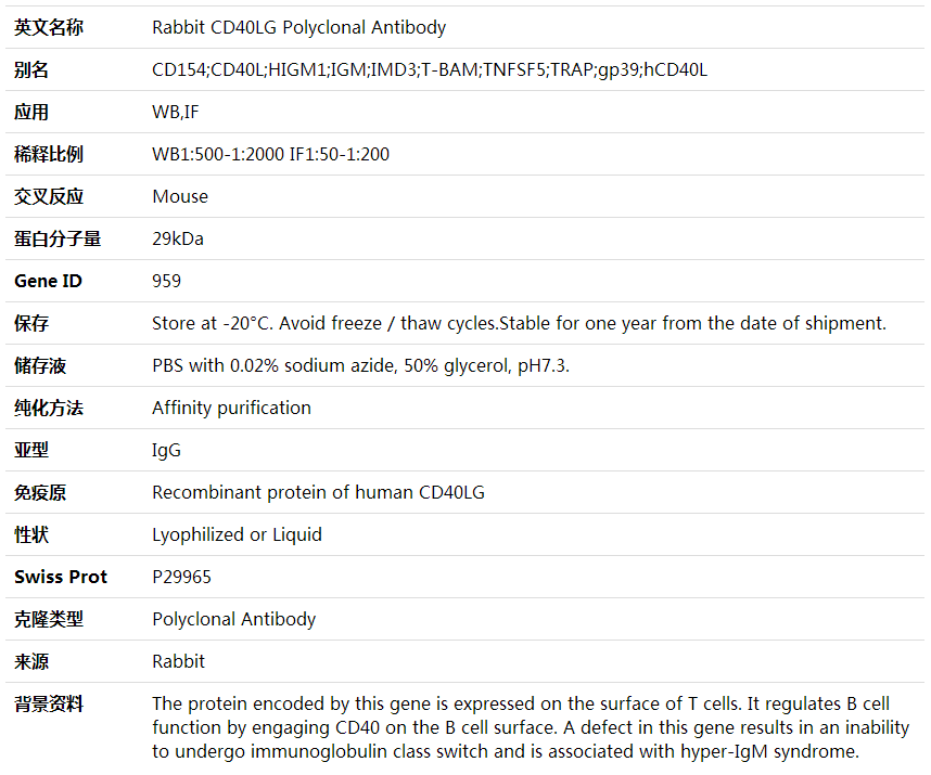 Anti-CD40LG Polyclonal Antibody,索莱宝,K001674P-30ul