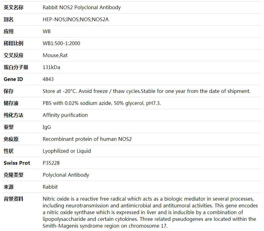 Anti-NOS2 Polyclonal Antibod,索莱宝,K001673P-100ul