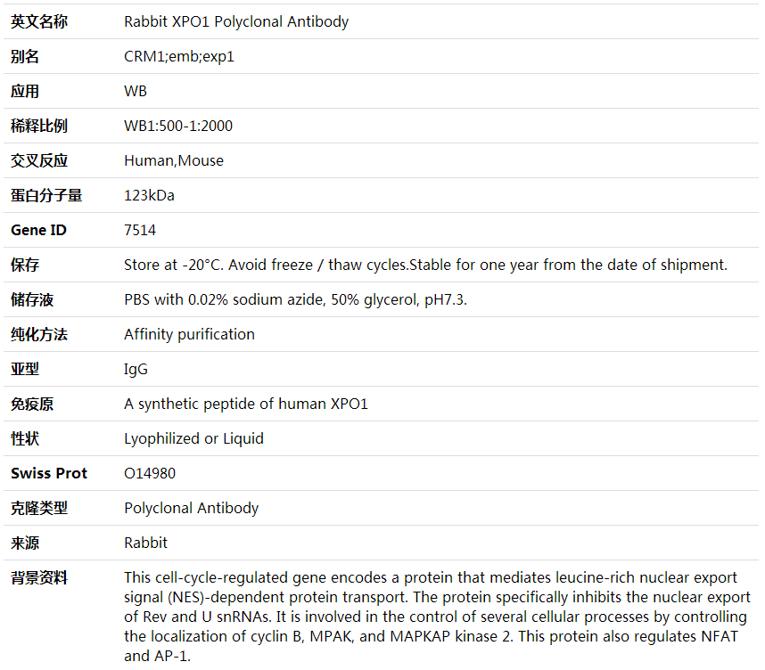 Anti-XPO1 Polyclonal Antibody,索莱宝,K001669P-100ul