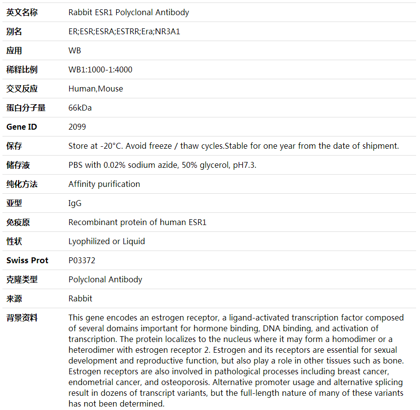 Anti-ESR1 Polyclonal Antibody,索莱宝,K001668P-100ul