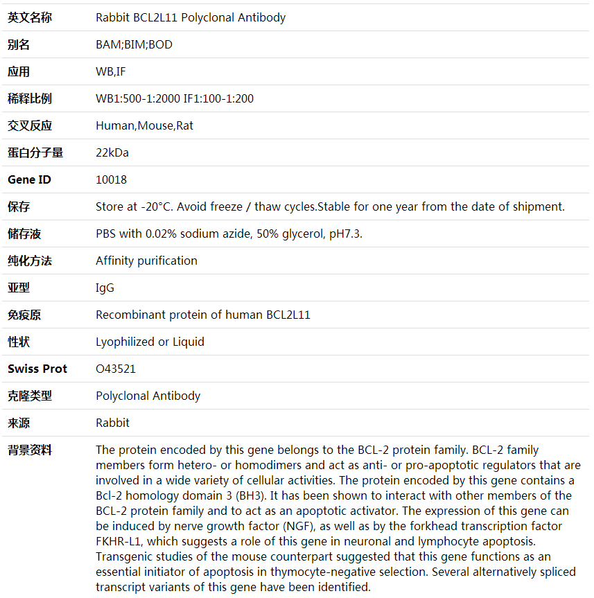 Anti-BCL2L11 Polyclonal Antibody,索莱宝,K001667P-30ul