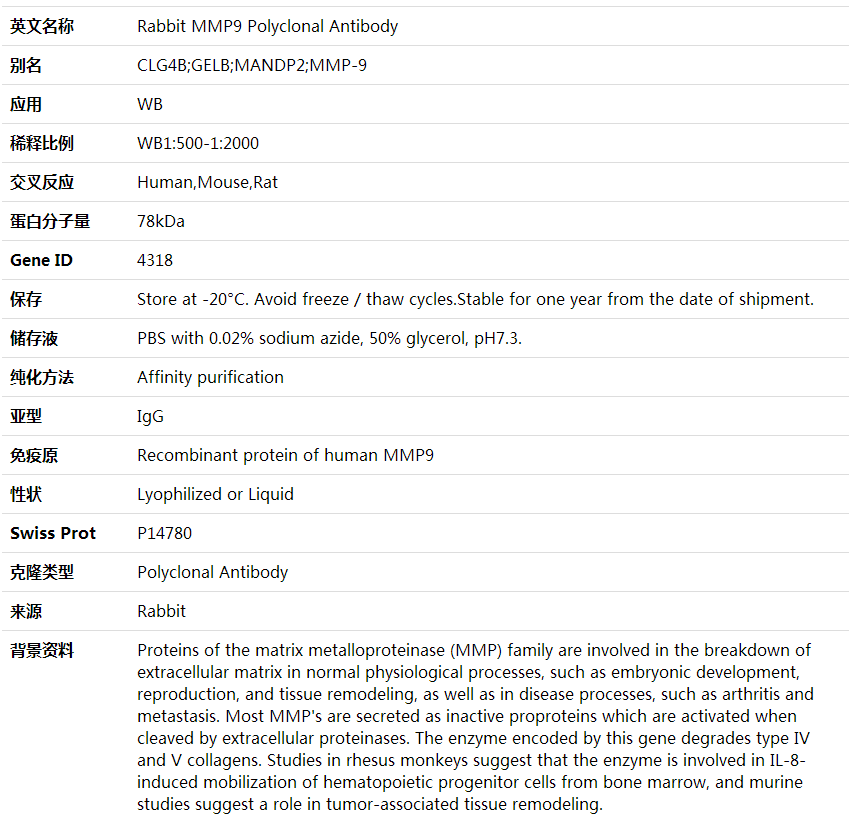 Anti-MMP9 Polyclonal Antibody,索莱宝,K001664P-100ul