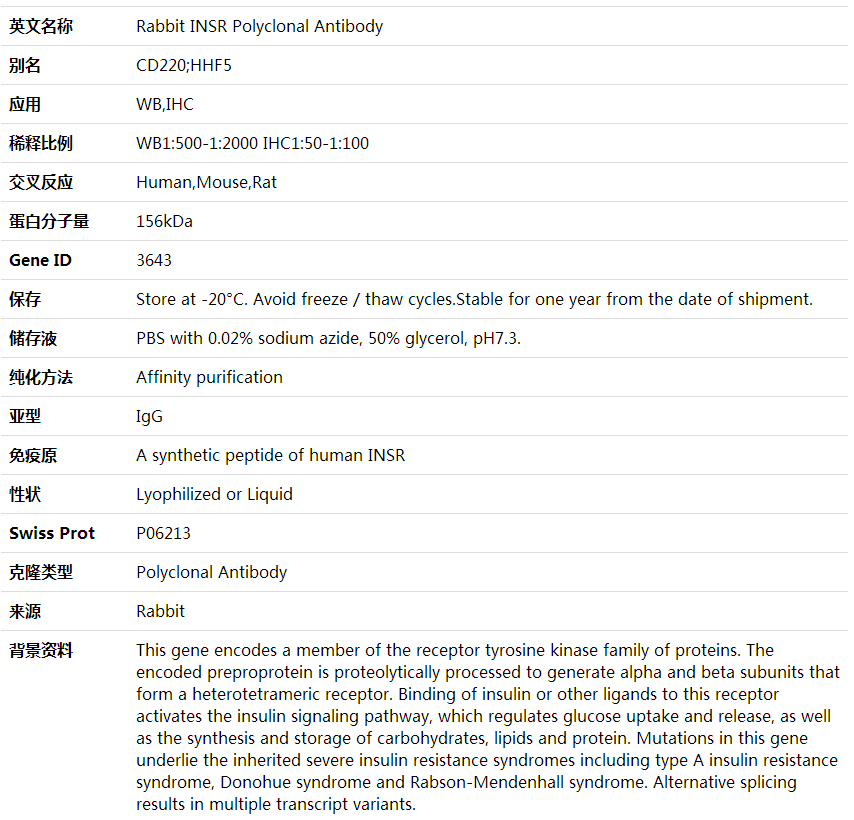 Anti-INSR Polyclonal Antibody,索莱宝,K001662P-100ul
