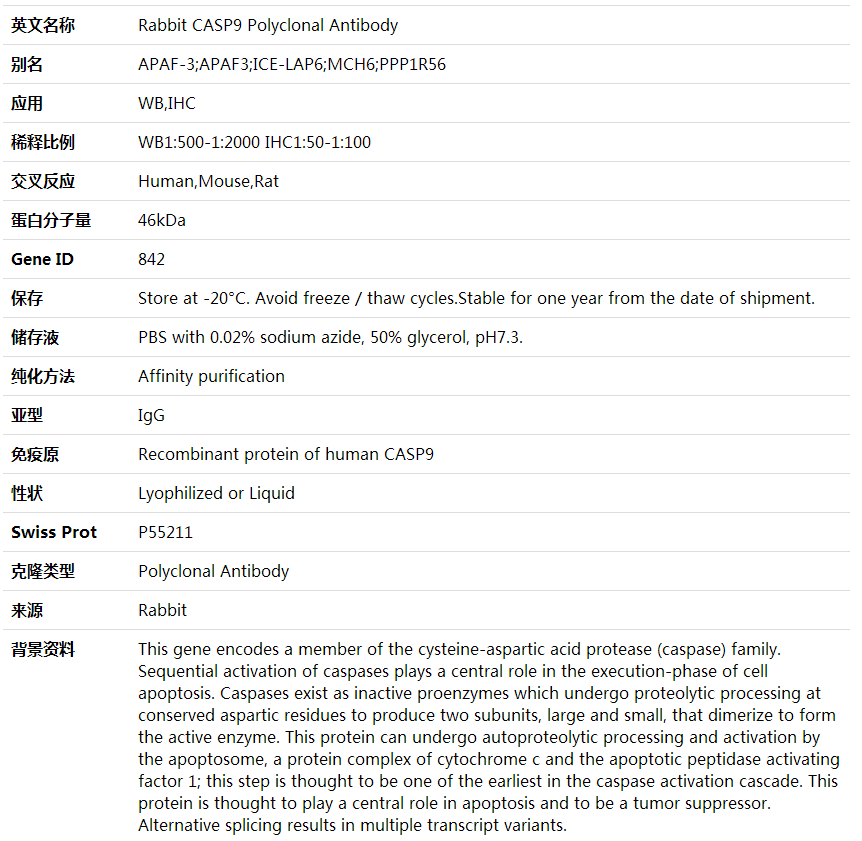 Anti-CASP9 Polyclonal Antibody,索莱宝,K001656P-50ul