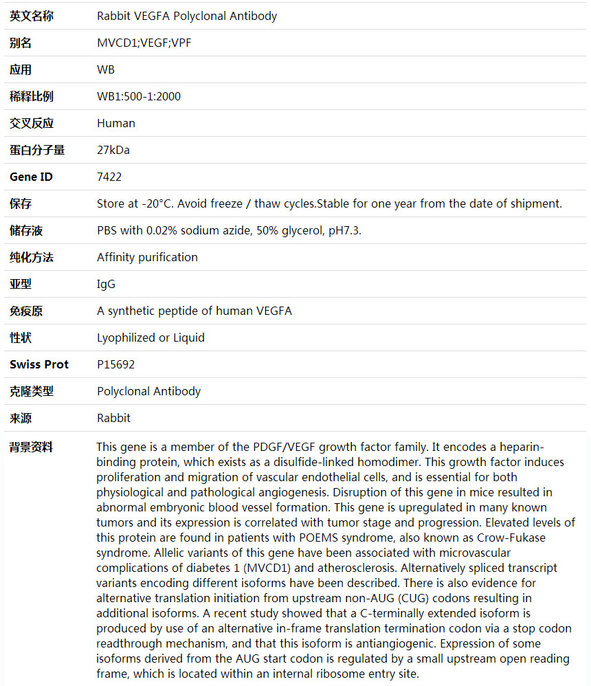 Anti-VEGFA Polyclonal Antibody,索莱宝,K001655P-100ul