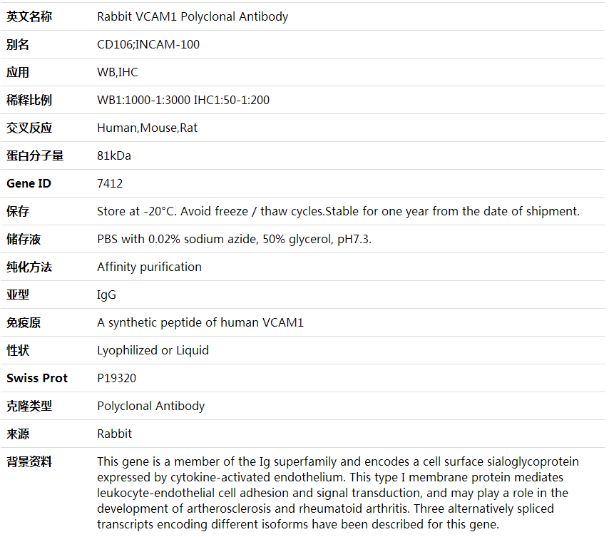 Anti-VCAM1 Polyclonal Antibody,索莱宝,K001654P-100ul