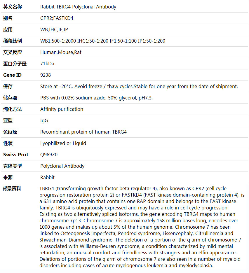 Anti-TBRG4 Polyclonal Antibody,索莱宝,K001652P-100ul