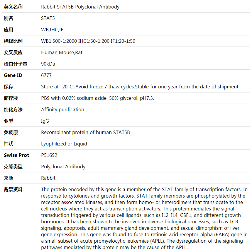 Anti-STAT5B Polyclonal Antibody,索莱宝,K001651P-30ul