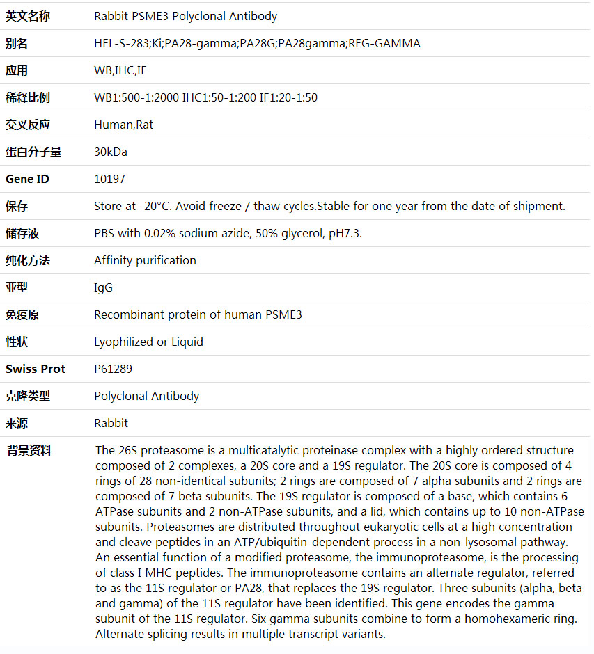 Anti-PSME3 Polyclonal Antibody,索莱宝,K001648P-30ul