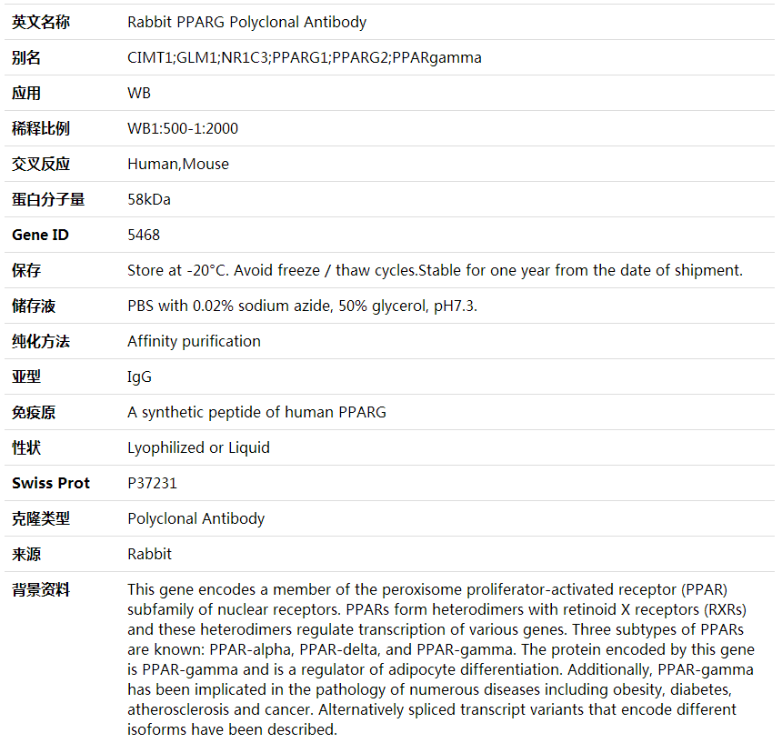 Anti-PPARG Polyclonal Antibody,索莱宝,K001647P-100ul