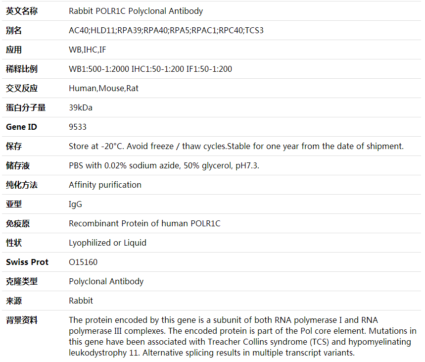 Anti-POLR1C Polyclonal Antibody,索莱宝,K001646P-100ul