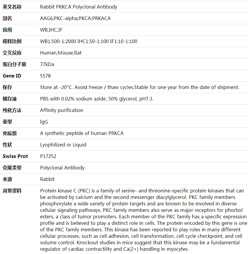 Anti-PRKCA Polyclonal Antibody,索莱宝,K001644P-50ul