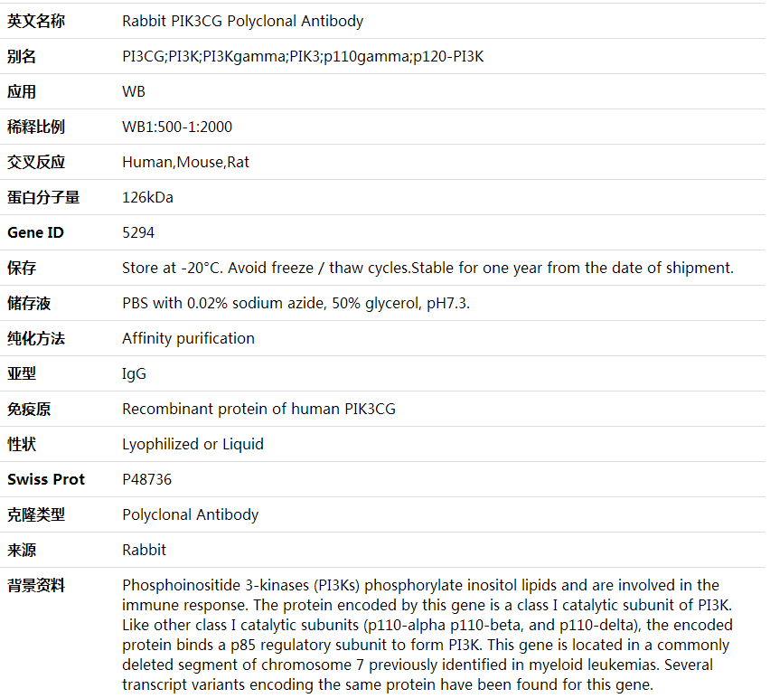 Anti-PIK3CG Polyclonal Antibody,索莱宝,K001643P-100ul