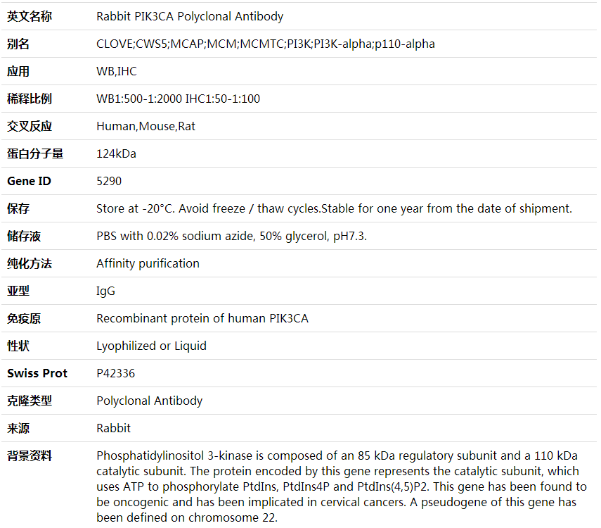 Anti-PIK3CA Polyclonal Antibody,索莱宝,K001642P-100ul