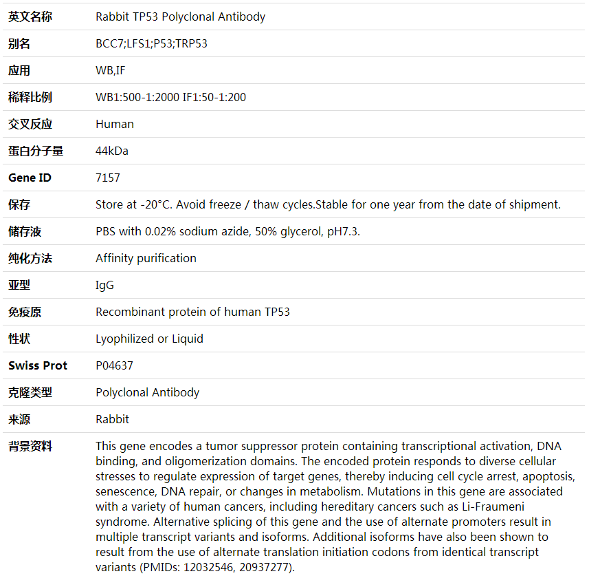 TP53 Antibody,索莱宝,K001641P-100ul
