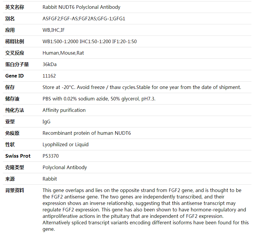 Anti-NUDT6 Polyclonal Antibody,索莱宝,K001638P-100ul