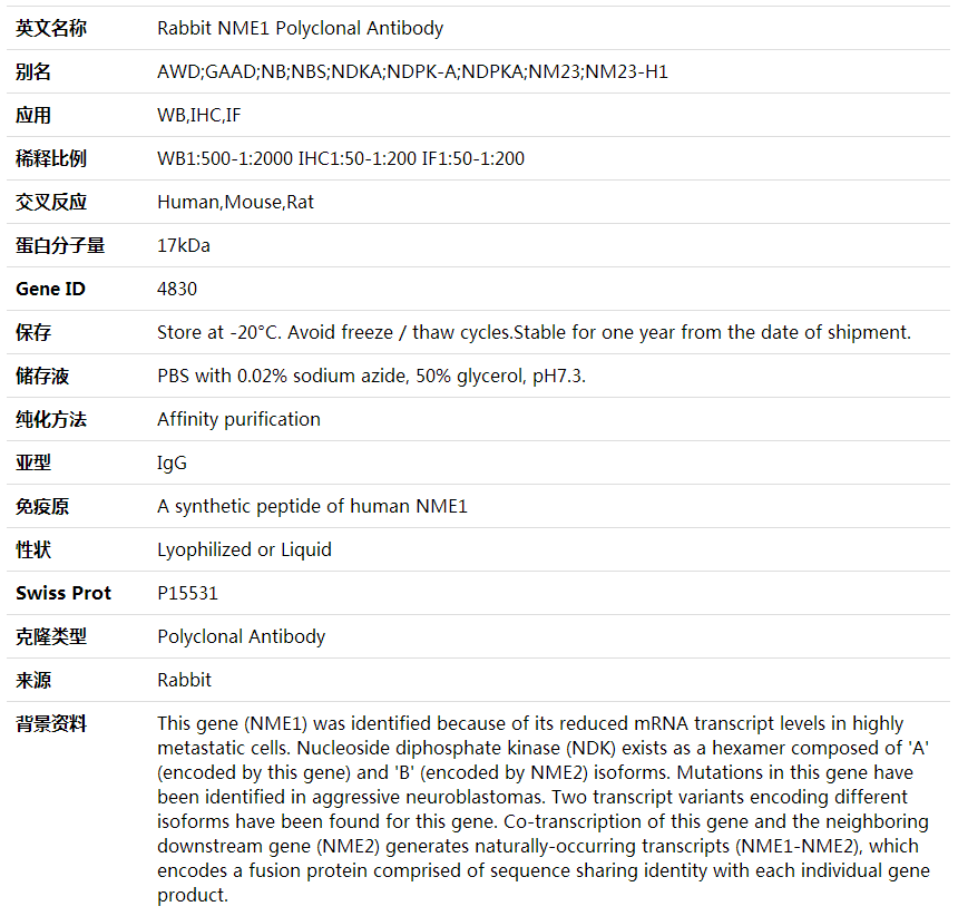 Anti-NME1 Polyclonal Antibody,索莱宝,K001637P-30ul