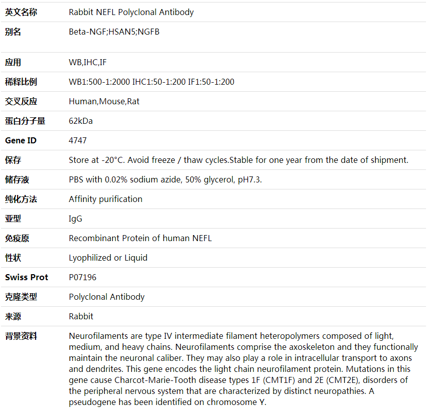 Anti-NEFL Polyclonal Antibody,索莱宝,K001635P-100ul