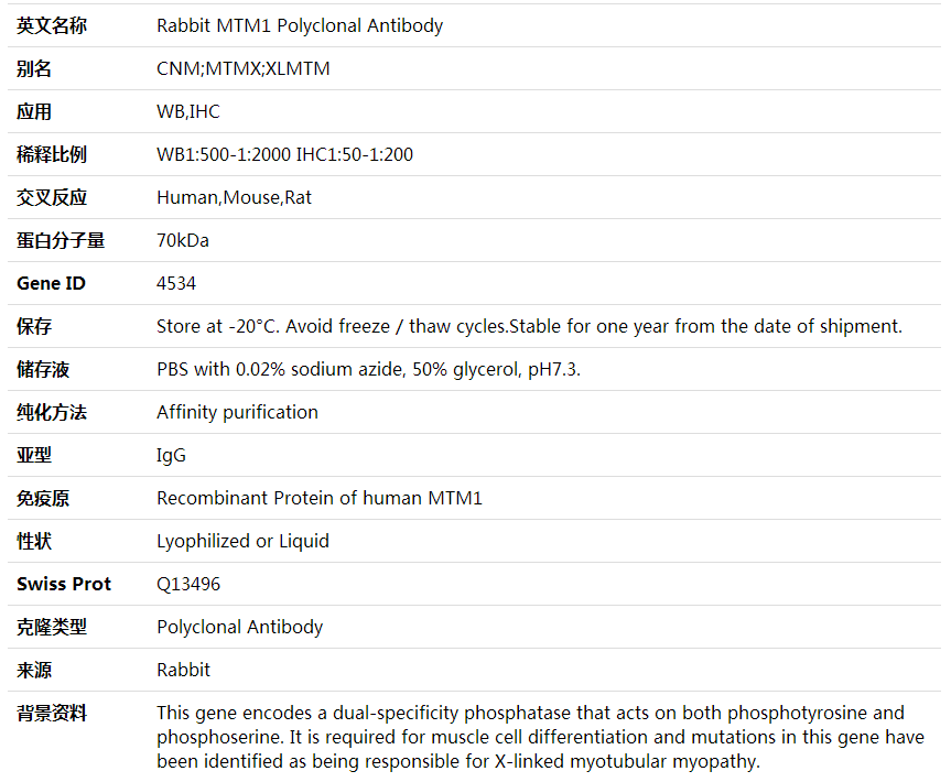 Anti-MTM1 Polyclonal Antibody,索莱宝,K001633P-50ul