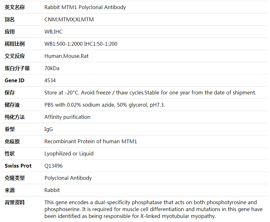 Anti-MTM1 Polyclonal Antibody,索莱宝,K001633P-30ul