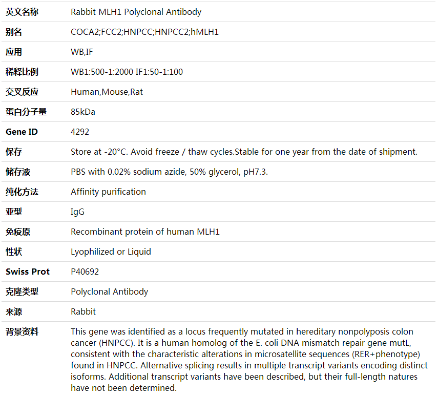 Anti-MLH1 Polyclonal Antibody,索莱宝,K001632P-100ul