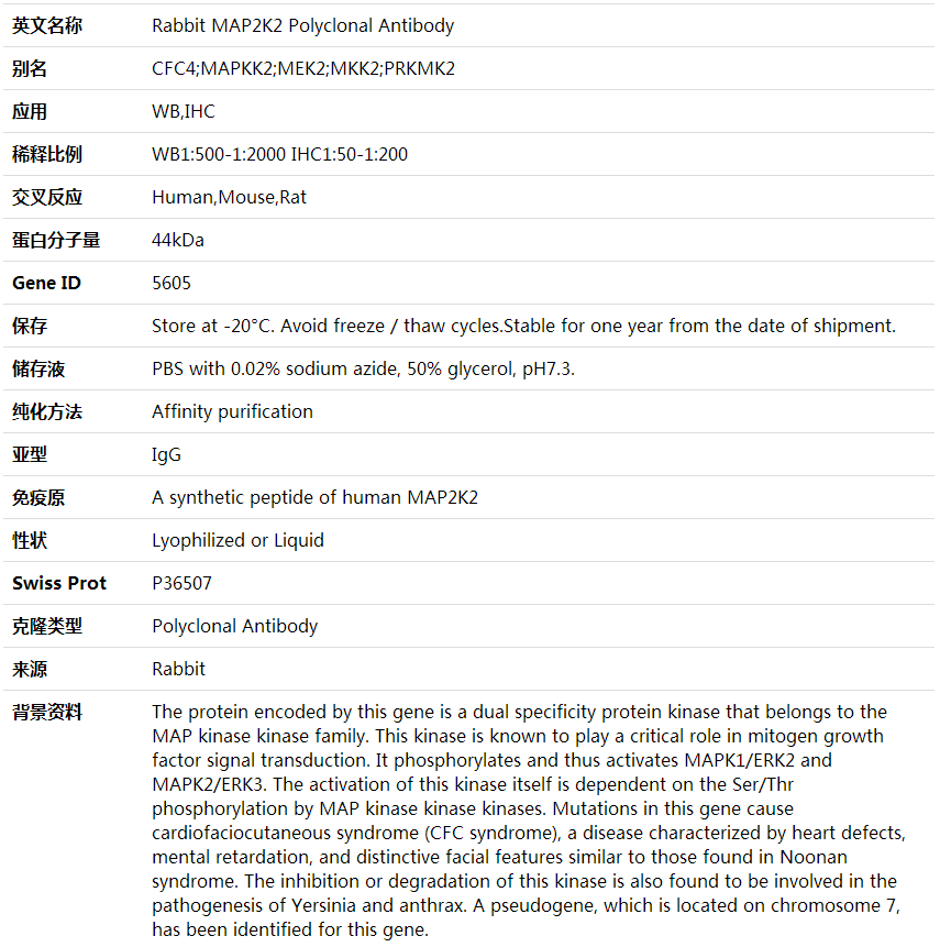 Anti-MAP2K2 Polyclonal Antibody,索莱宝,K001631P-100ul