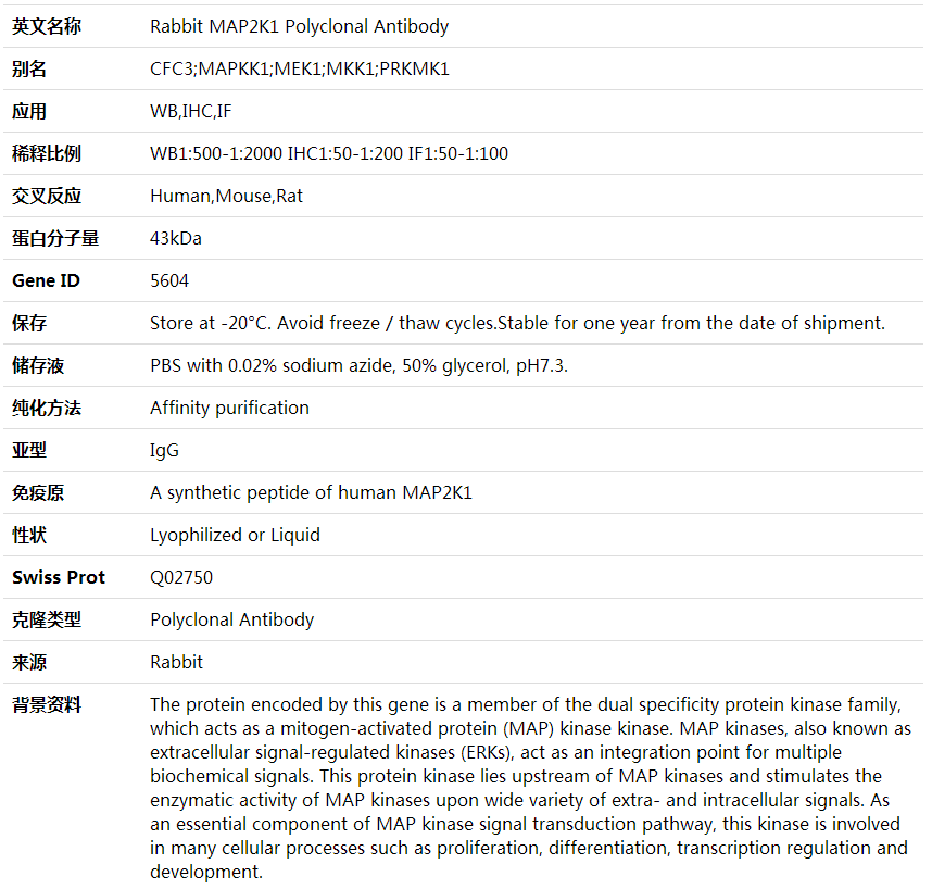 Anti-MAP2K1 Polyclonal Antibody,索莱宝,K001630P-30ul