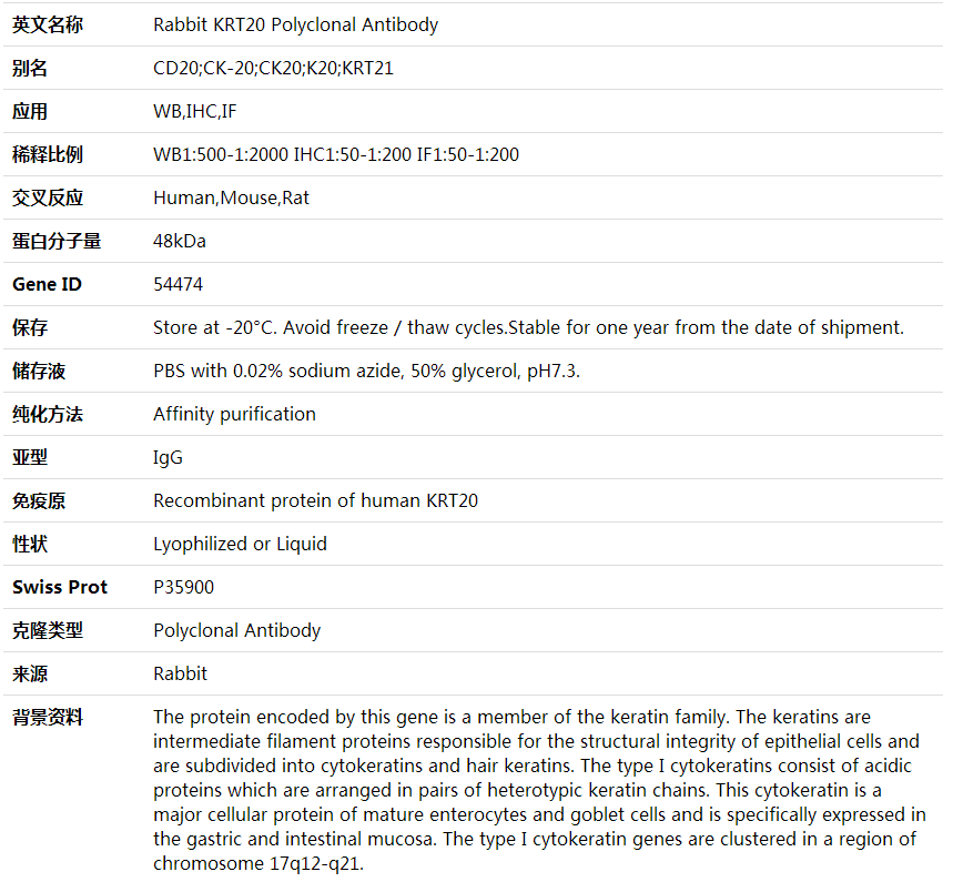 Anti-KRT20 Polyclonal Antibody,索莱宝,K001626P-50ul