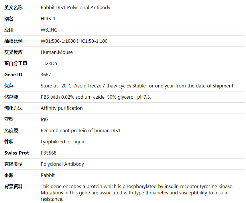 Anti-IRS1 Polyclonal Antibody,索莱宝,K001623P-30ul